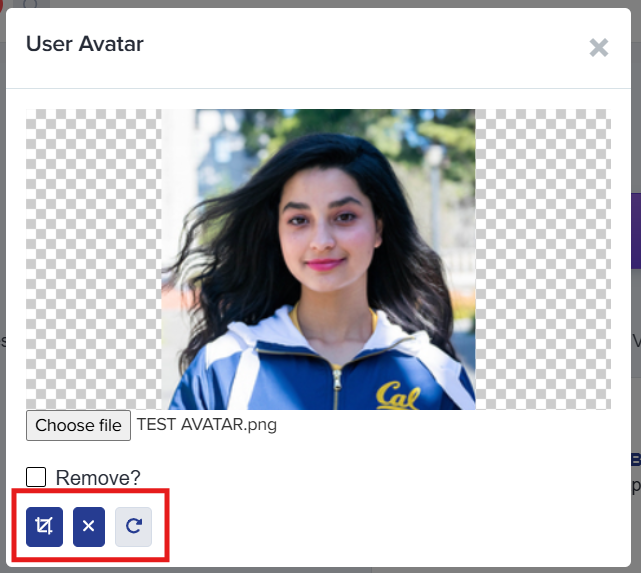Cropping tools interface